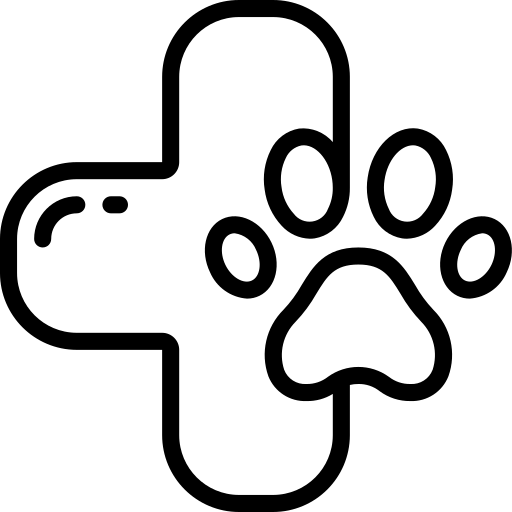 পেট কেয়ার